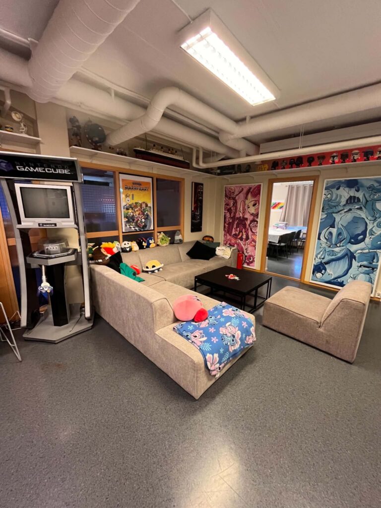Sosial sone med sofaer og spill